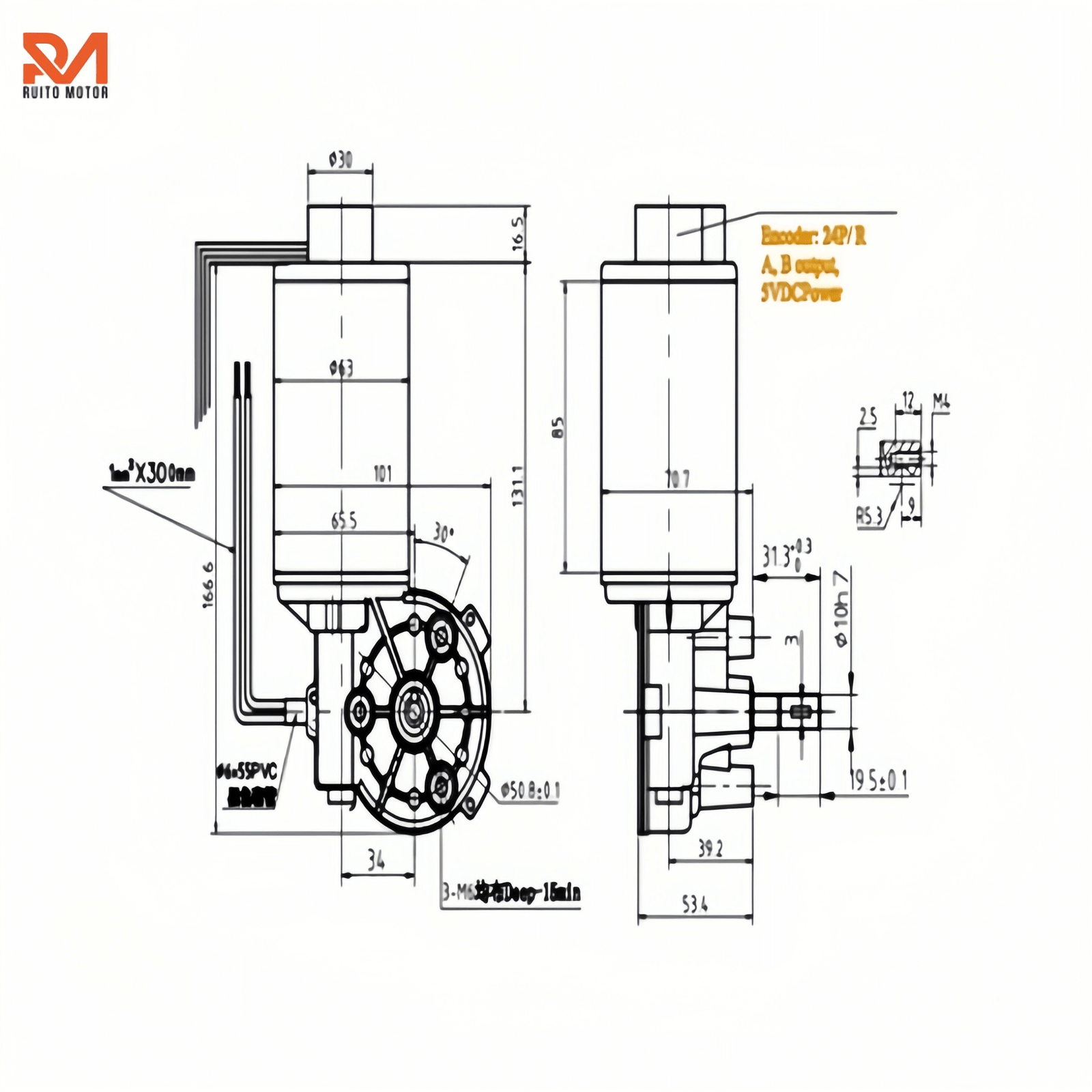 Drawig Bf gear motor drawing ruito